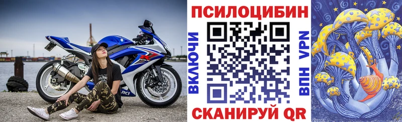 kraken как войти  Пущино  Галлюциногенные грибы ЛСД 